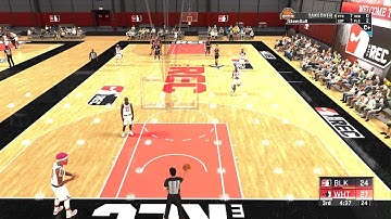 NBA 2K20 - PG Chasedown Block