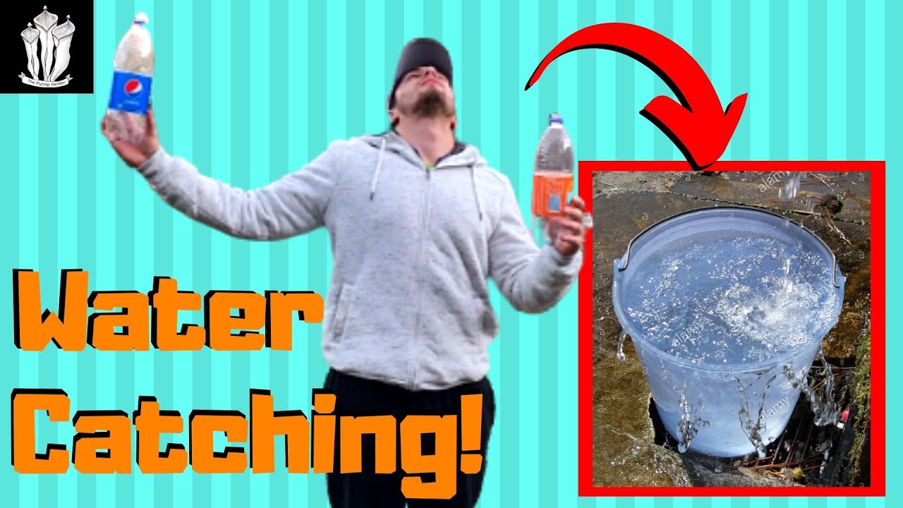 how to catch rainwater for gardening