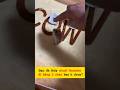 Bạn đã thấy chuột Hamster đi bằng 2 chân bao h chưa 😮🥰 #hamster #viralvideo #trendingshorts #cute