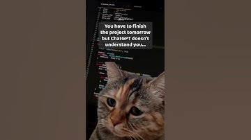 Getting chatty with ChatGPT 😂 #programming #codingmemes #memes #funny #codememes