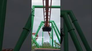 Tatsu Zero-G Roll