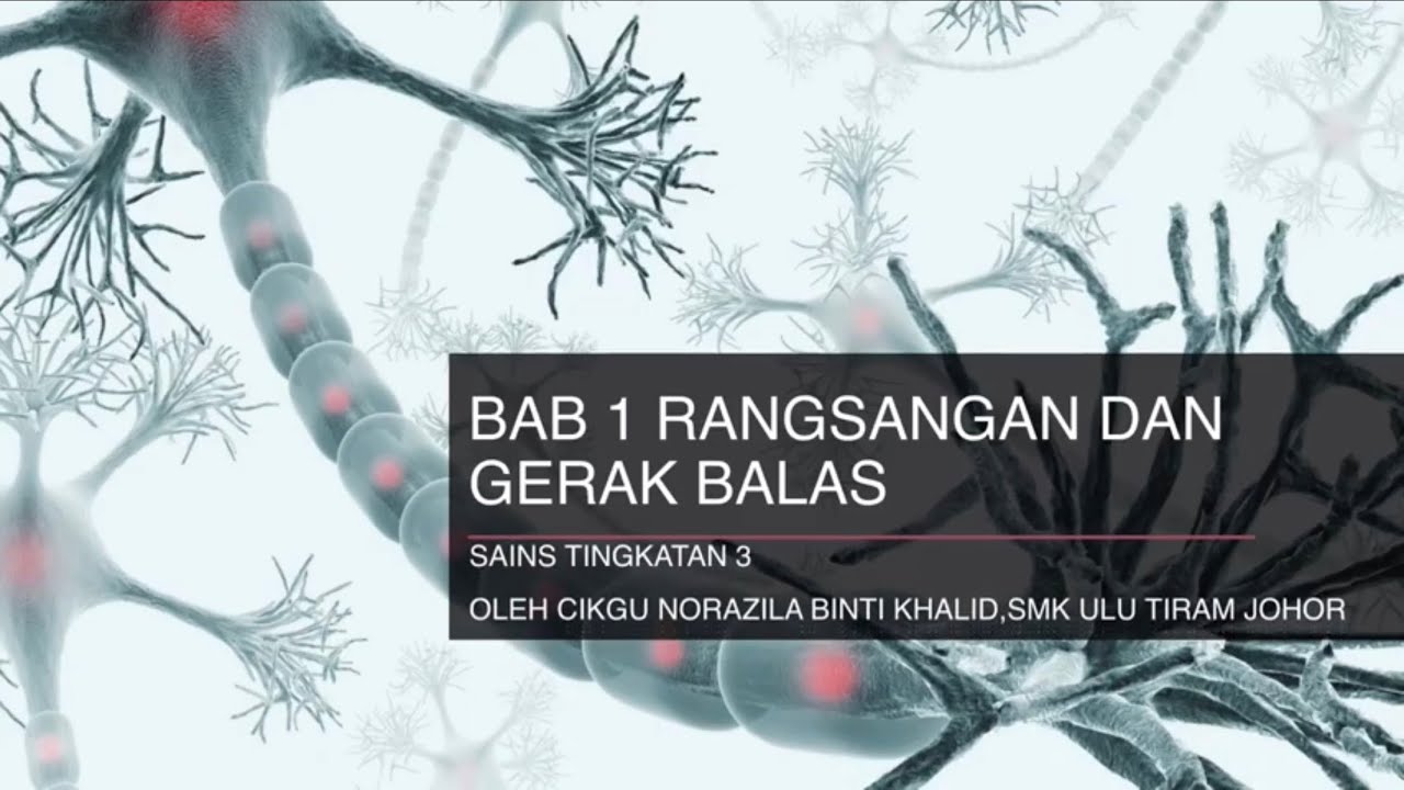 Nota BUKU TEKS F3 sc BAB 1 Rangsangan dan Gerak Balas zila khalid