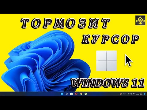 Тормозит курсор  мыши.Windows 11