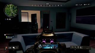 Call of Duty Black Ops 4  BLACKOUT CAMPING CLOWN!