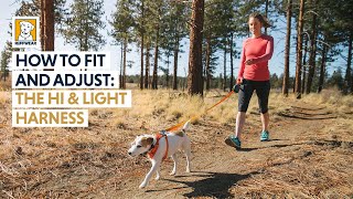 ruffwear harness fitting
