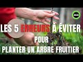 Comment éviter 5 grosses erreurs pour planter un  arbre fruitier !