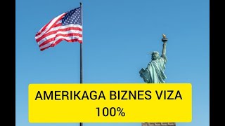 Amerikaga Biznes Viza 100%