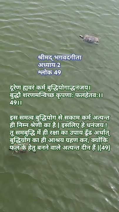 2-49-bhagwadgita-chapter-2-verse-49-in