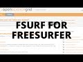 Fsurf for FreeSurfer