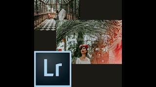 Rook and Rover iii inspired Lightroom Tutorial screenshot 2