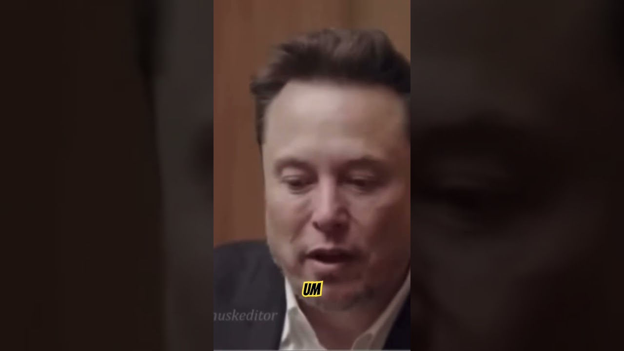 Elon Musk Talks Private Sector vs. Government | Elon Musk 