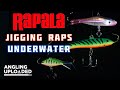 Rapala jigging raps underwater  original jigging shad rap  jigging shadow rap