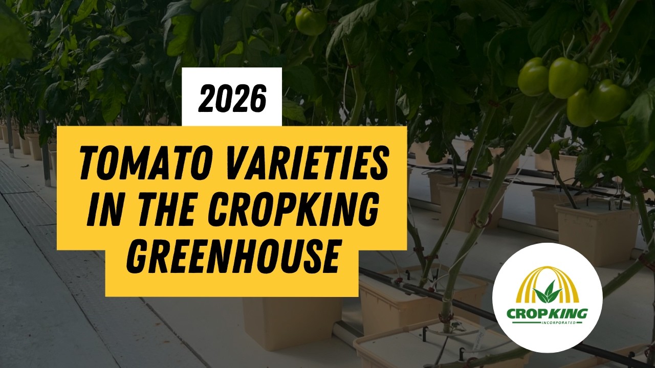2026 Hydroponic Tomato Varieties | CropKing Inc.