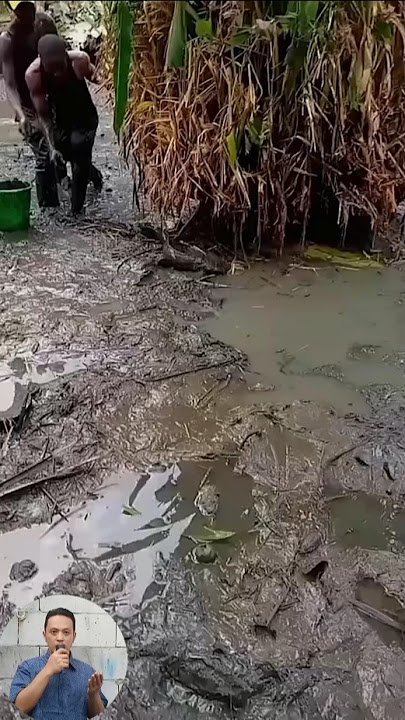 during this dry season, what the residents do