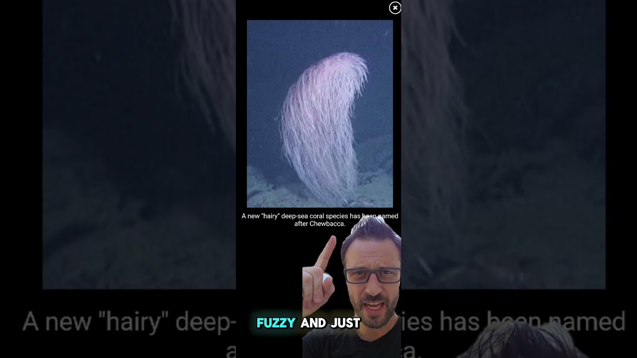 New Star Wars character Coral species 