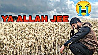 AJ PHR BRISH SHURO HO GAI / SAB KISAN BAHUT PARESHAN HAI / VILLAGE VLOG / KISAN LIFE / MANI HASHMI