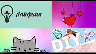 5 лайфхаков для владельцев дегу+ небольшой DIY 5 лайфхаков для владельцев дегу+ небольшой DIY