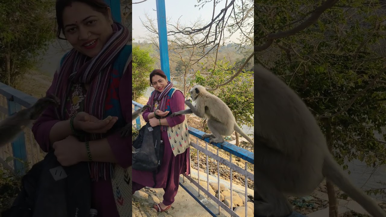 New Team New Location 