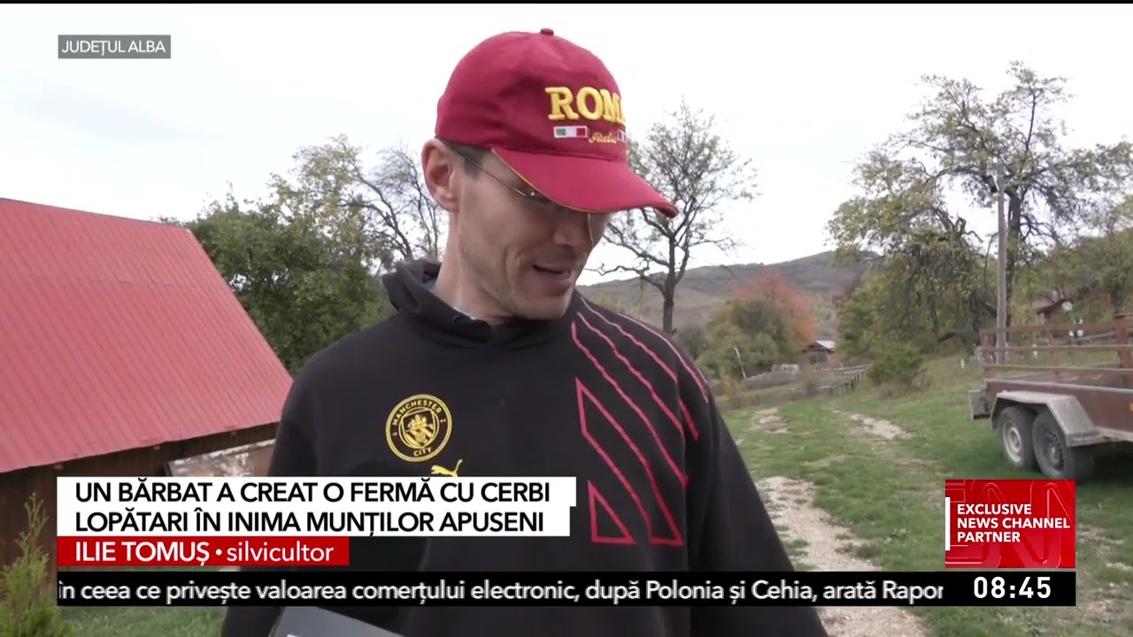 Fermă de cerbi lopătari în Alba