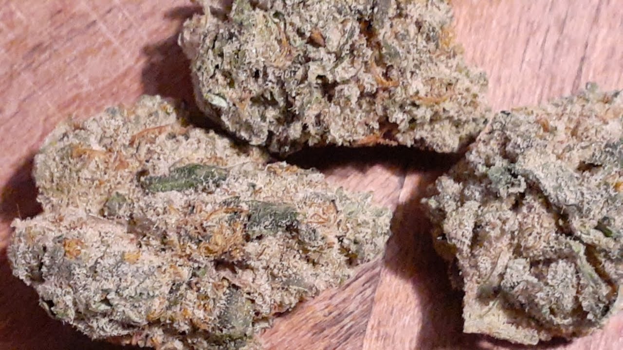 Strain Review"The Potion" Cannabis strain another big THC Sativa"