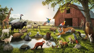 Farm Animal Life Giraffe, Sheep, Goat, Buffalo, Tiger, Squirrel, Kangaroo,... Animal Sounds