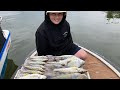 Gold Coast broadwater fishing and squidding 🎣🦑