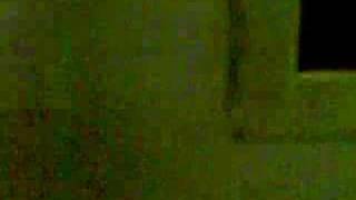 Funny, Brum In Pizza House.