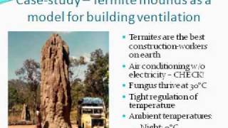 Mother Nature Knows Best - Biomimicry.mov