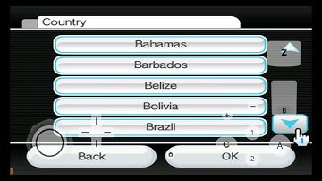 Setting up the Nintendo Wii Menu on Dolphin with it