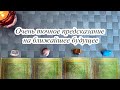 ОЧЕНЬ ТОЧНОЕ ПРЕДСКАЗАНИЕ НА БЛИЖАЙШЕЕ БУДУЩЕЕ