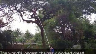 long tree trimmer