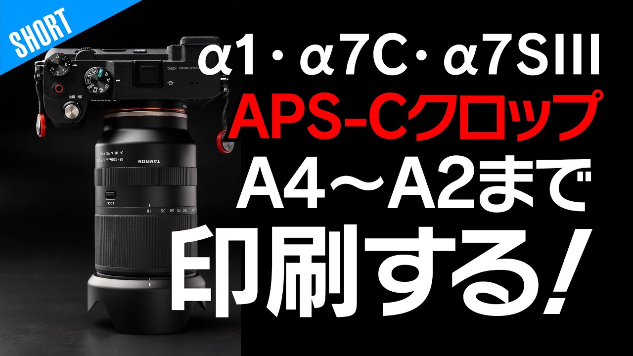 フルサイズAPS-Cクロップデータ印刷してみたSONY α7SIII α7C α1 & TAMRON 18-300mm F/3.5-6.3