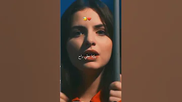 زكارة نكارة تصميم فيديوهات اكسبلور تصميمي 