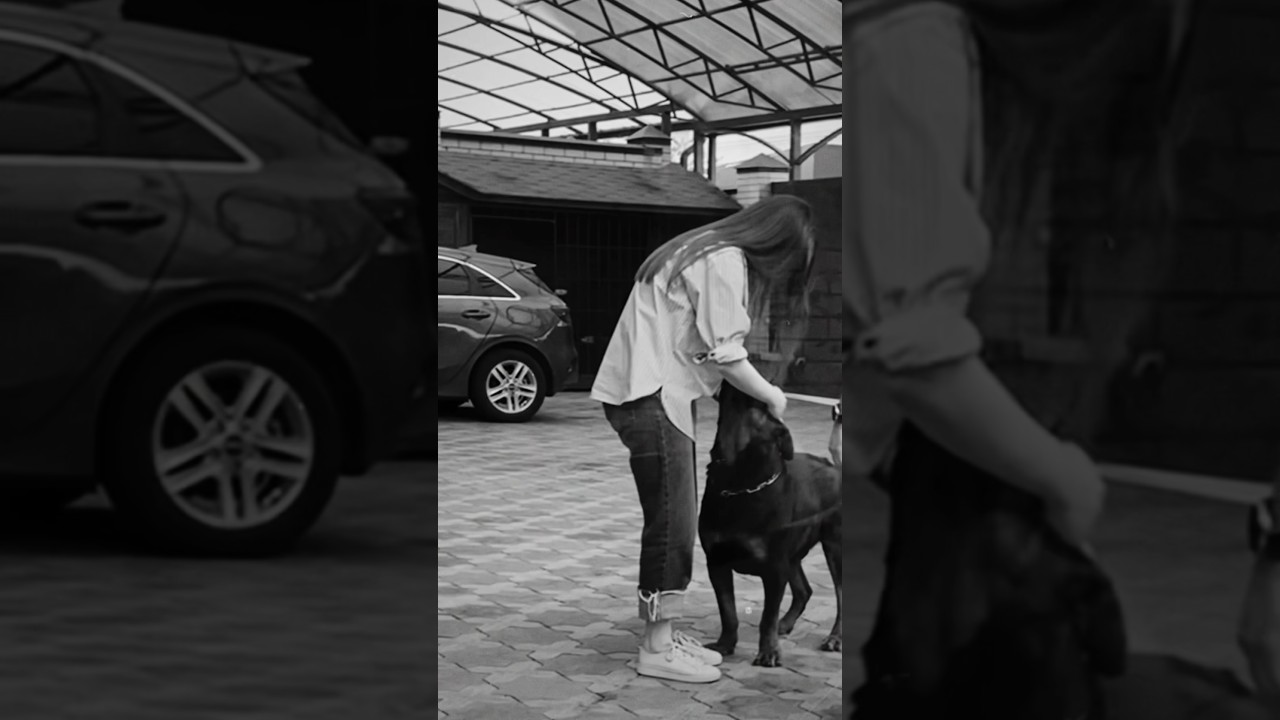 Самые добрые существа ❤️ 