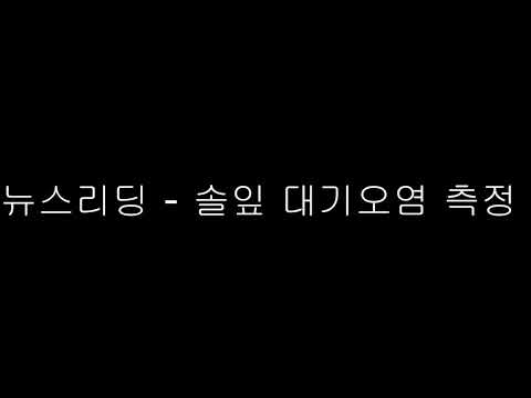 뉴스리딩 솔잎 대기오염 측정