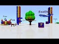 360 Degree Video Quiz