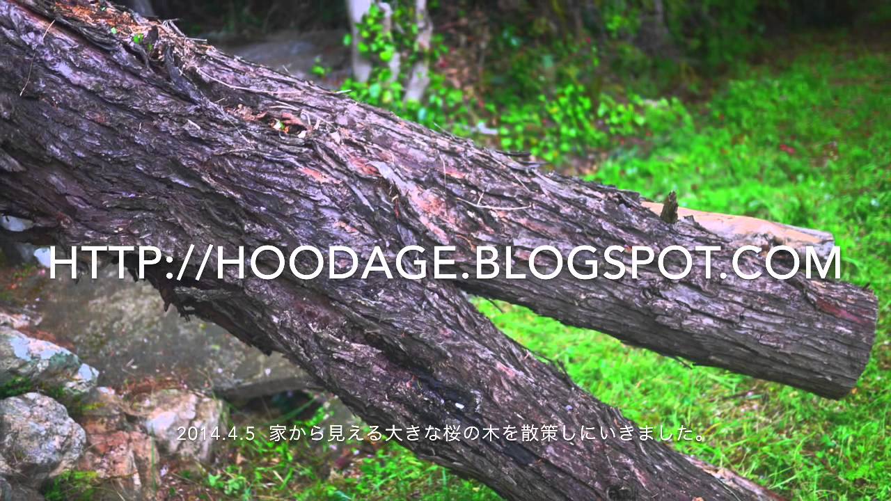 ■HOODAGE CM #94