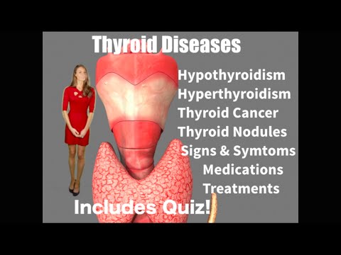 How To Treat A Dog S Thyroid Problem Naturally How To Treat A Dog S Thyroid Problem Naturally