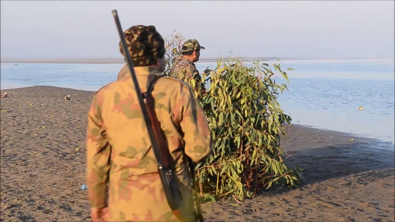 Duck Hunting at River Chenab, Punjab, Pakistan 