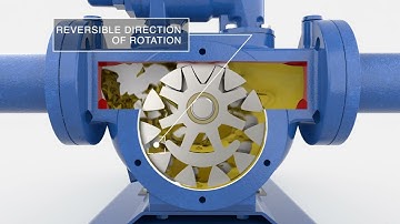 Internal gear Varisco pump: How it works