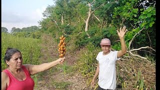 Lo que cayamos las mujeres