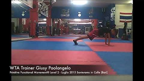 Primitive Functional Movement® Mobility Flow