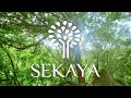 Sekaya  prescribing nature