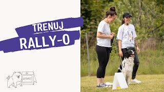 Trenuj Rally-O w Wojtków Szkolenia