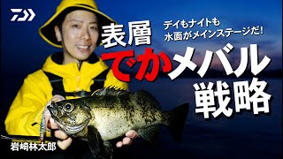 [メバリング] デイもナイトも水面がメインステージ でかメバル戦略 岩崎林太郎
