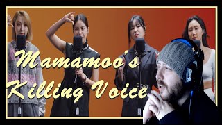 MAMAMOO's KILLING VOICE with perfect HARMONY- Dingo Music | Metal Musician Reacts