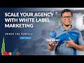 Scale Your Agency With White Label Marketing