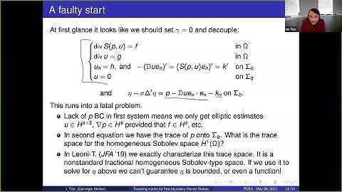 Partial Differential Equations and Applications Webinars - Ian Tice