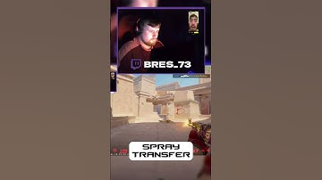 SPRAY TRANSFER - #cs2 #csgo #gaming