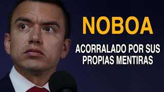 NOBOA - ACORRALADO POR SUS PROPIAS MENTIRAS